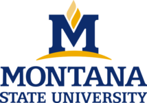 Montana State University