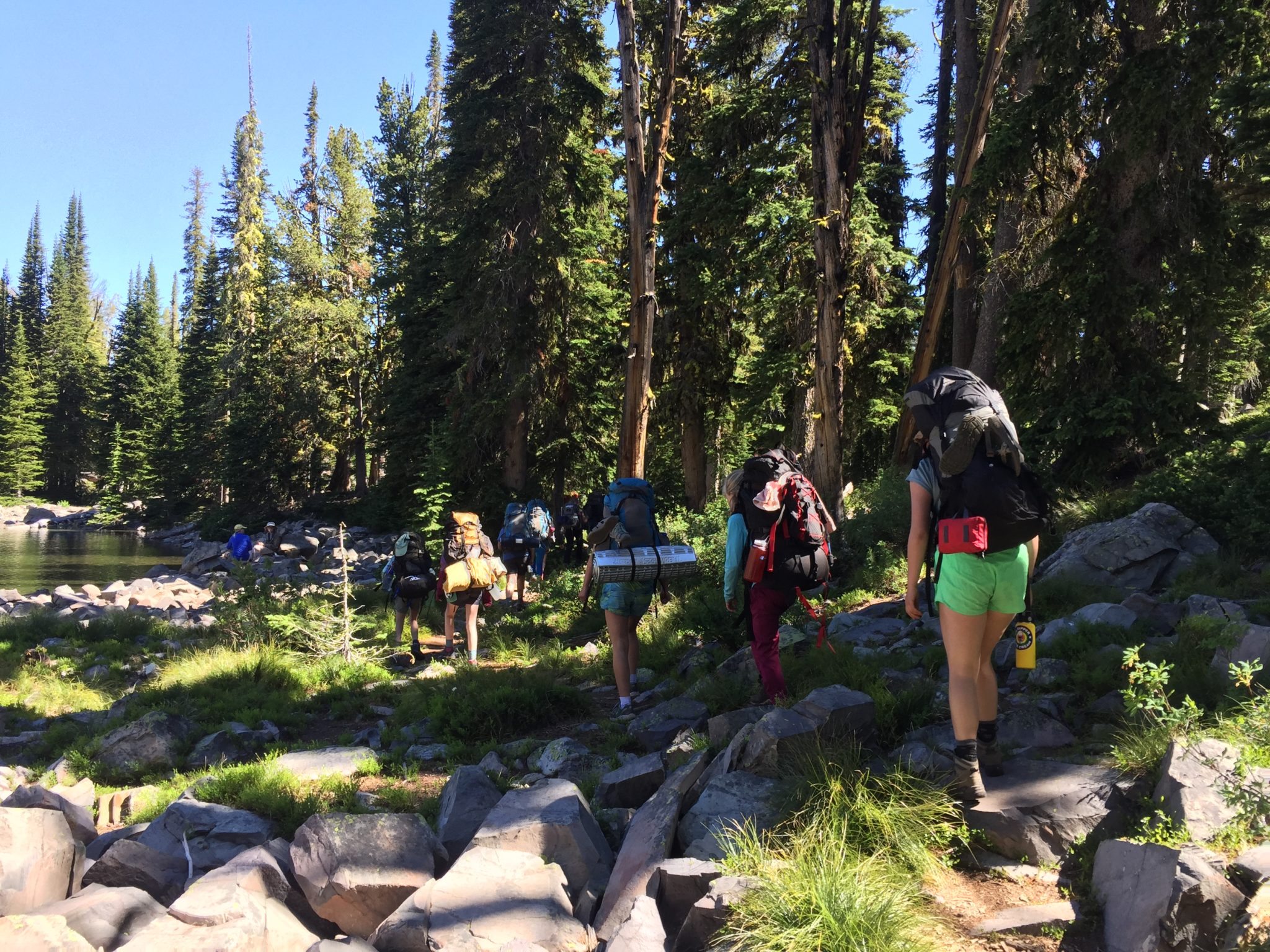 A groupd of students backpacking in the woods.