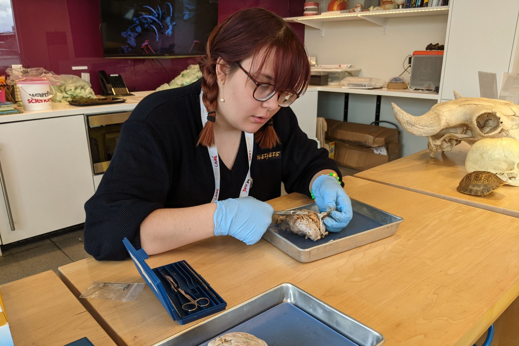 AmeriCorps member dissecting a brain in a science lab.